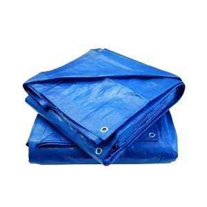 LONA DE POLIETILENO 6X5